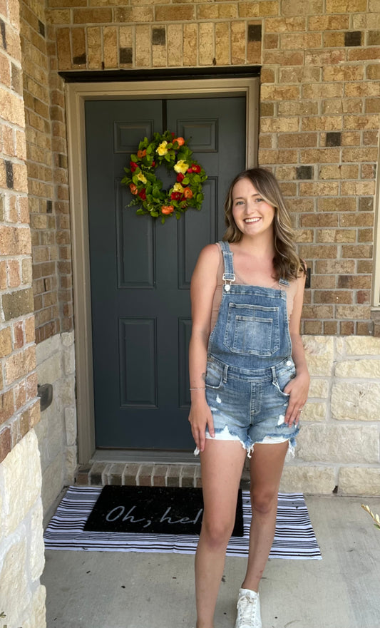 Risen Medium Wash Distressed Overalls